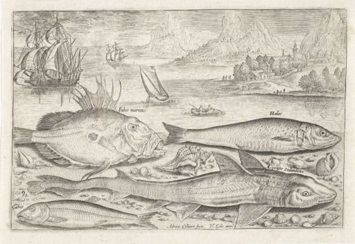 Four Fish on the Beach