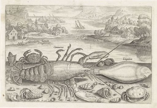 A Fish and Some Shellfish on the Beach