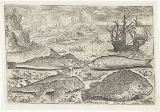 Four Fish on the Beach