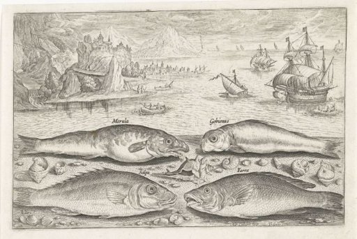 Four Fish on the Beach