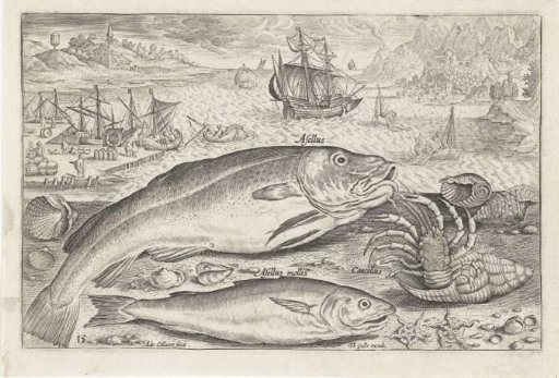 Two Fish on the Beach