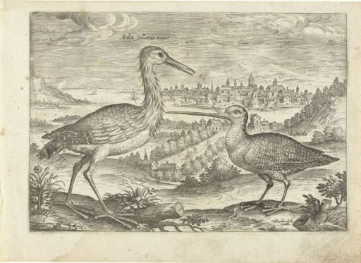 Two birds in a landscape