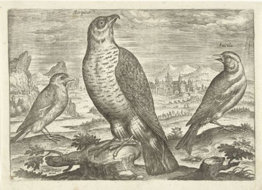 Three birds in a landscape