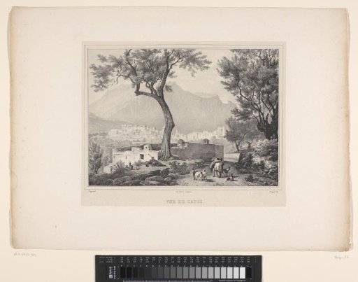 Goat herders in the hills near Capri