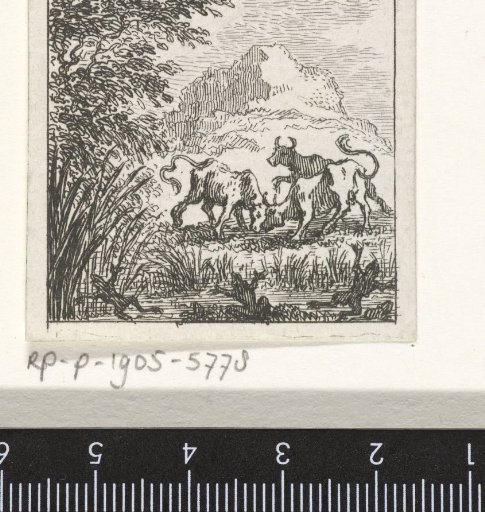 Fable of the oxen in combat
