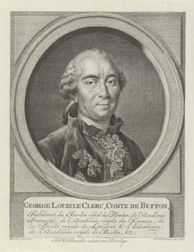 Portrait of Georges Louis Leclerc Count de Buffon