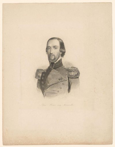 Portrait of François d'Orléans