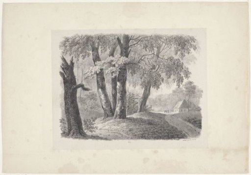 Forest and a farmstead