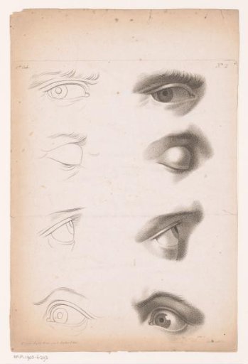 Eight Different Eyes