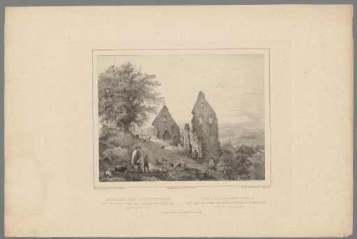 View of the monastery ruin Disibodenberg