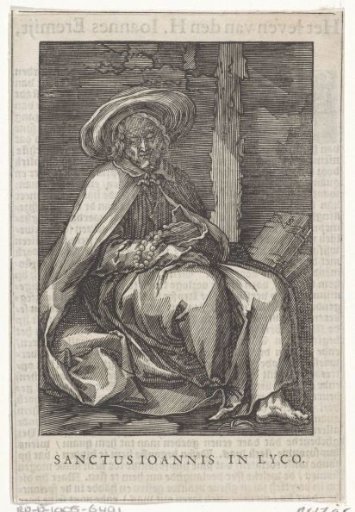 Saint John of Lycopolis as a hermit
