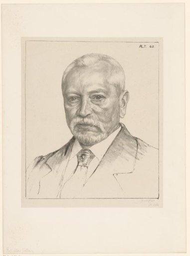 Portrait of Theodorus Hendrik Mac Gillavry