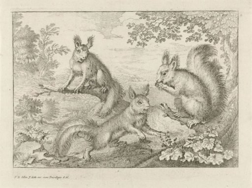 Three Squirrels in a Landscape