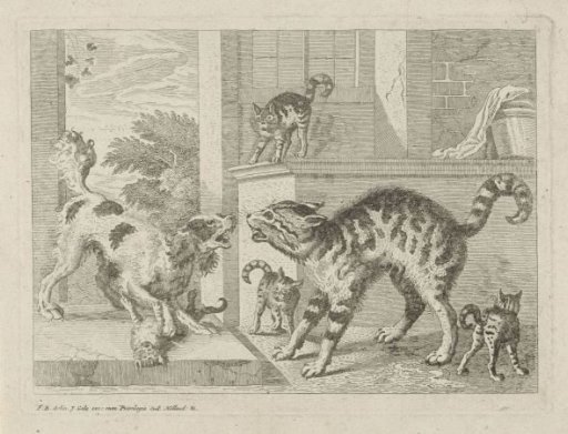 Cat Defends Her Young Against a Dog