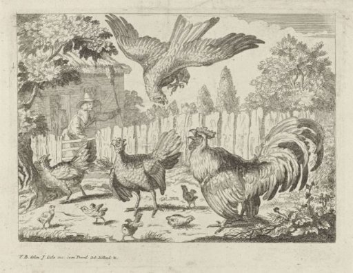 Attack of a Buzzard on Chickens
