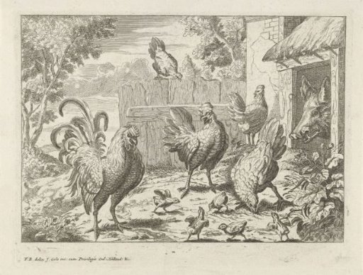 Chickens and a Pig