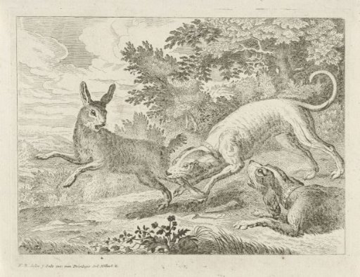 Hunt for a Hare