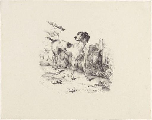 Two dogs by a fence