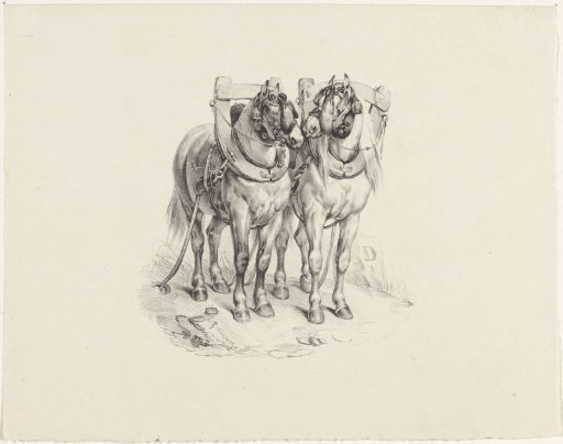 Two harnessed horses