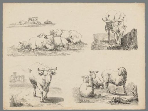 Four studies of cattle and sheep