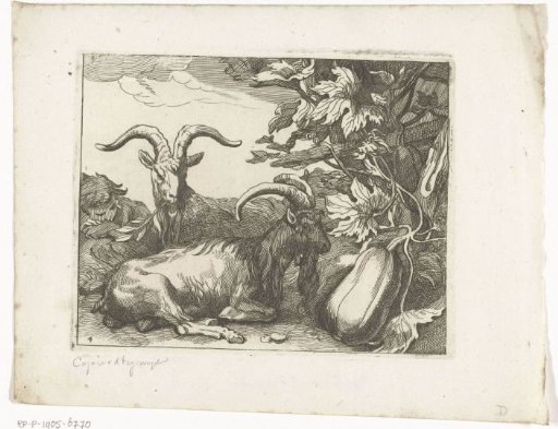 Goats and calabashes