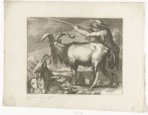 Goat herder and goats