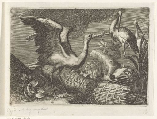 Storks