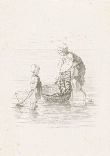 The Cradle
