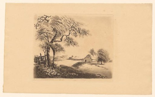 Landscape with trees near a house