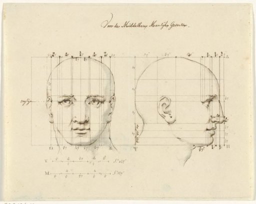 Study of a male head