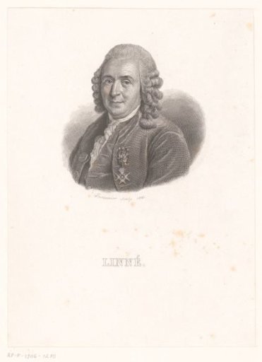 Portrait of Carl Linnaeus