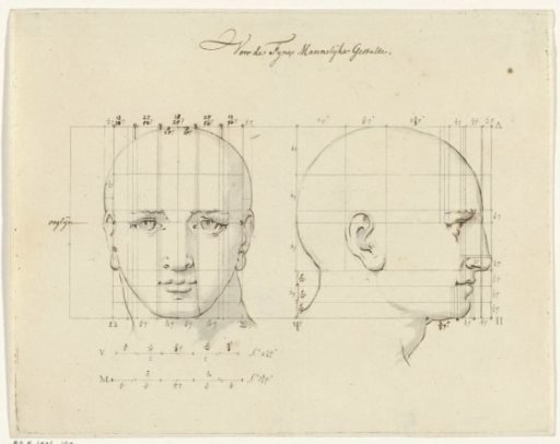 Study of a male head