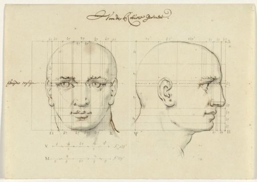 Study of a male head