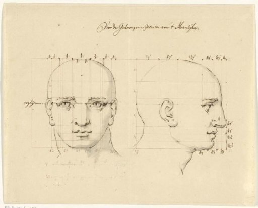 Study of a male head