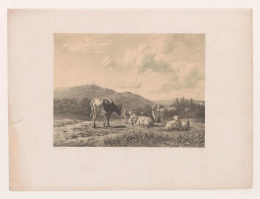 Landscape with cattle