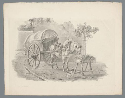 Horse with cart