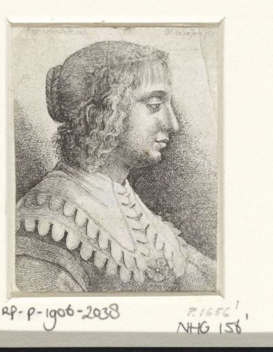 Portrait of a young woman with a collar