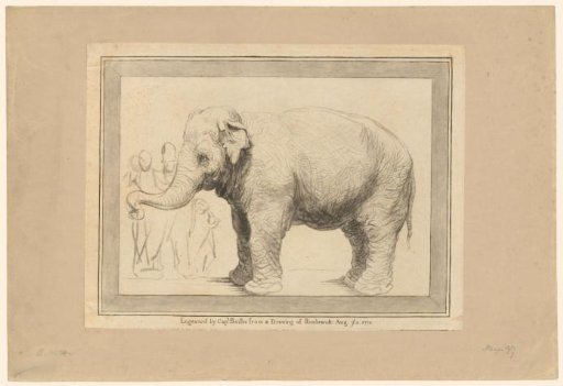 Elephant with Onlookers