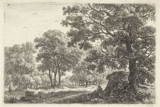 Man with a Dog along a Forest Path