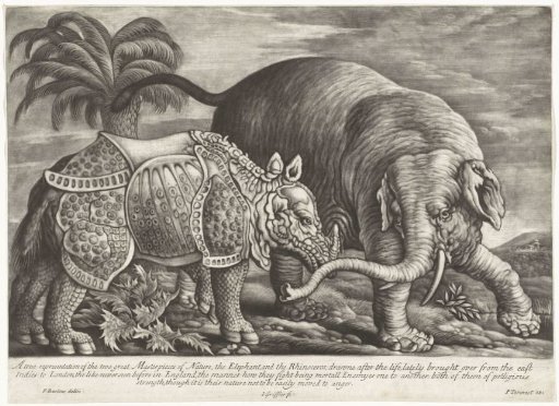 Elephant and Rhinoceros