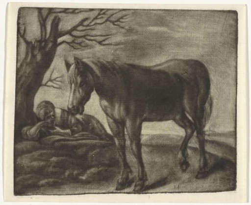 A Horse and a Sleeping Man