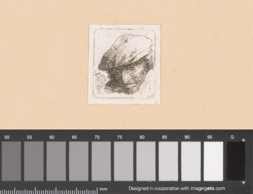 Head of an unknown man