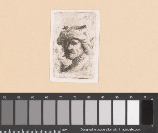 Head of an unknown man