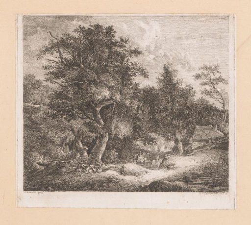 Forest landscape with riders