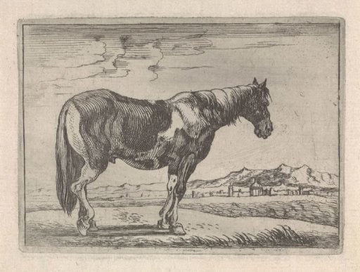 Standing horse