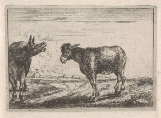 Two donkeys
