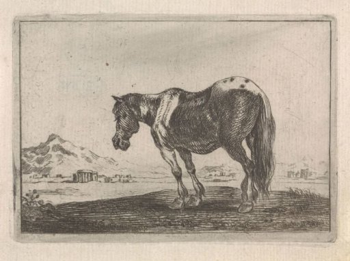 Horse standing in a landscape