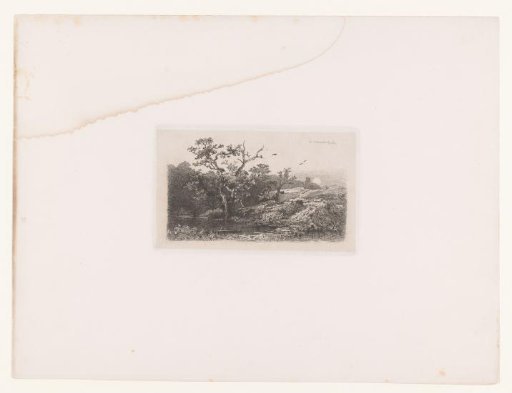 Landscape with a Tree by a Pond