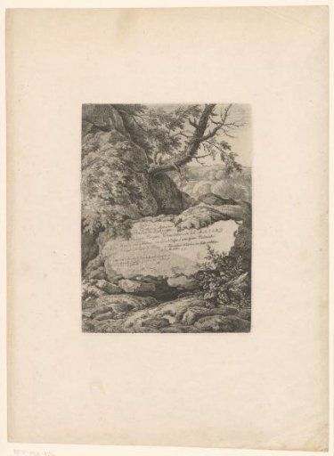 Landscape with large rock