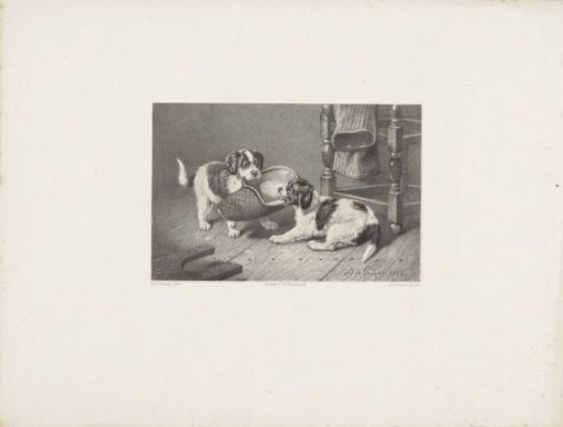 Two young dogs fighting over a slipper